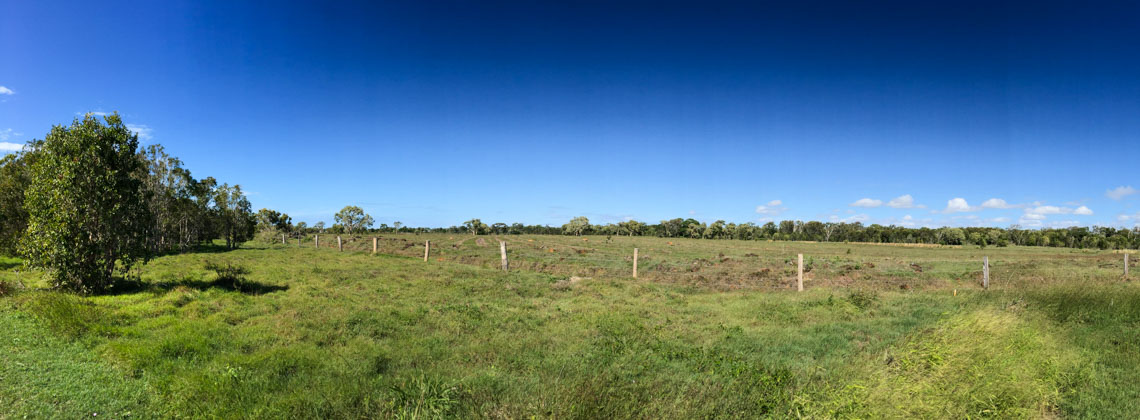 Weite Felder und wilde Wälder