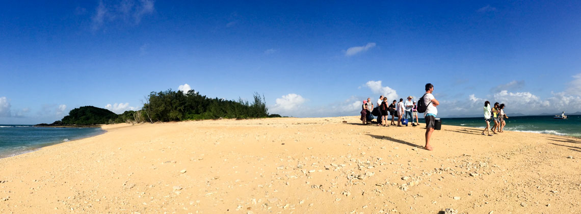 Der Strand von Franklands Islands