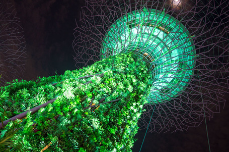 Der Hauptbaum des Gardens by the Bay bei Nacht