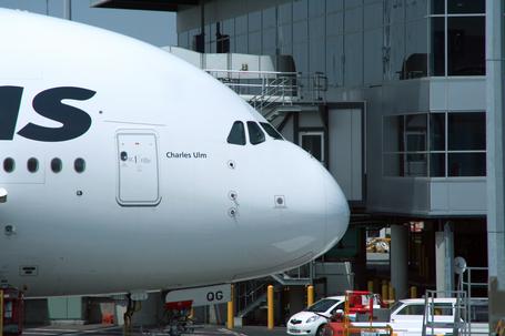 Die Nase eines Airbus A380 der Airline Qantas parkend an einem Gate