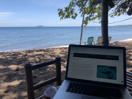 Arbeiten am Strand von Dauin