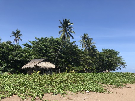 Paradiesische Ruhe am Strand