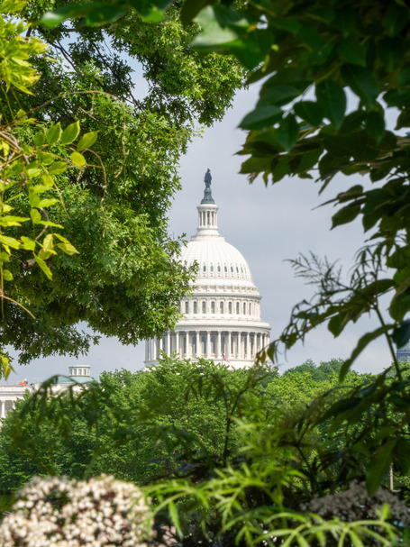 The Capitol again