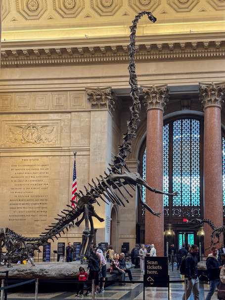 The dinosaur in the entrance area of the Natural History Museum in Manhattan