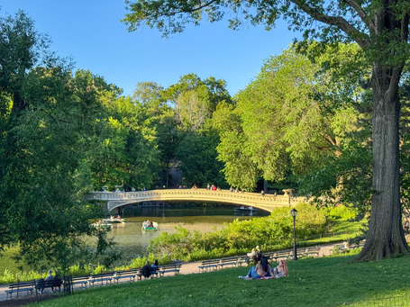 Relaxing in Central Park on a sunny afternoon