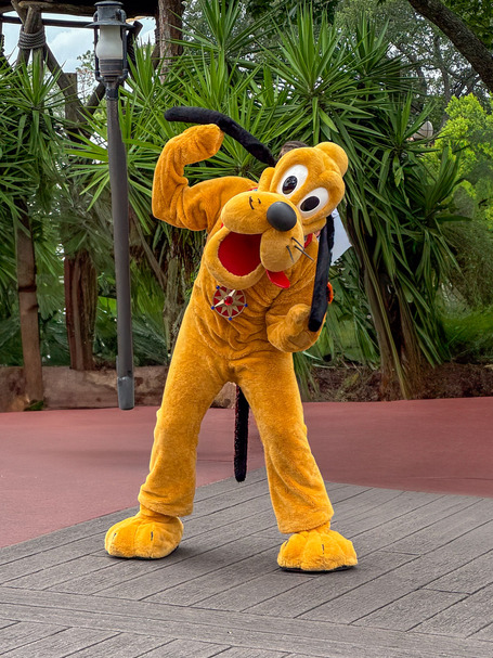 Pluto at Disney Magic Kingdom in Orlando