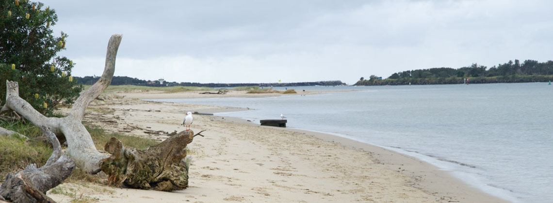 Der Strand direkt vor unserem Schlafplatz in Ballina