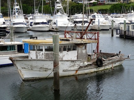 Alter Fischkutter im Hafen von Port Nelson, Australien. Aus Holz und kurz vorm sinken.