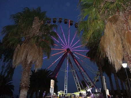 Das Riesenrad von Geelong