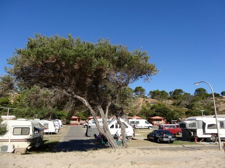 wer findet Hugo hier beim Strandcamping?