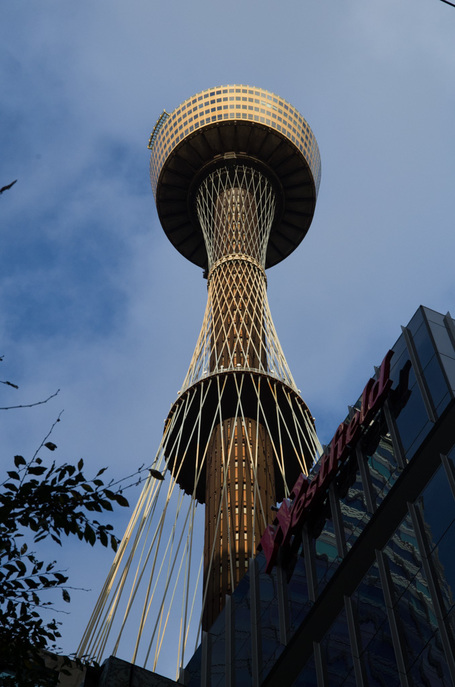 Hochformat Foto vom Skytower in Sydney