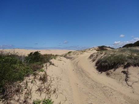 Noch 800m links durch die Strandwüste bis zum Strand. Das wir da nicht gefressen wurden grenzt an ein Wunder.