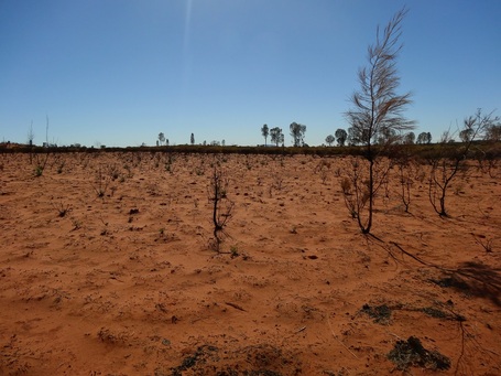 The heat and drought take their toll... areas scarred by wildfires