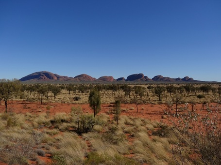 Die Kata Tjuta-Formation, samt Schildkröte