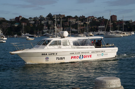 Ankommendes Boot im Hafenbecken von Sydney