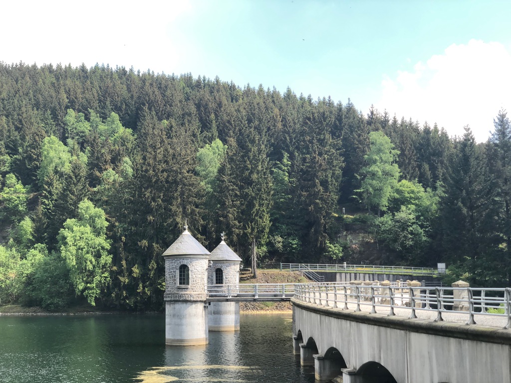 Eine schöne Aussicht auf dei Taalsperre im Harz